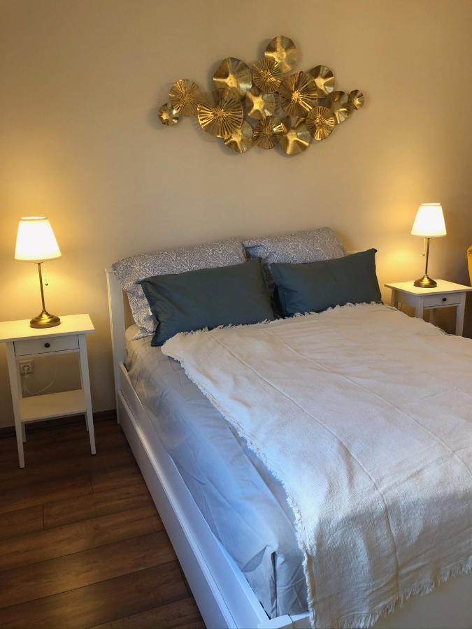 Modern Comfort In Historical Budapeşte Dış mekan fotoğraf